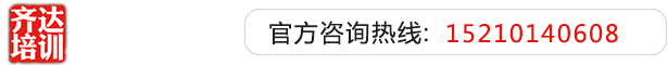 插入少萝动漫网站齐达艺考文化课-艺术生文化课,艺术类文化课,艺考生文化课logo